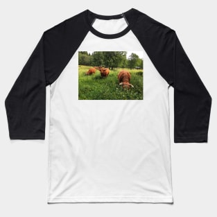 Scottish Highland Cattle Cows 2432 Baseball T-Shirt